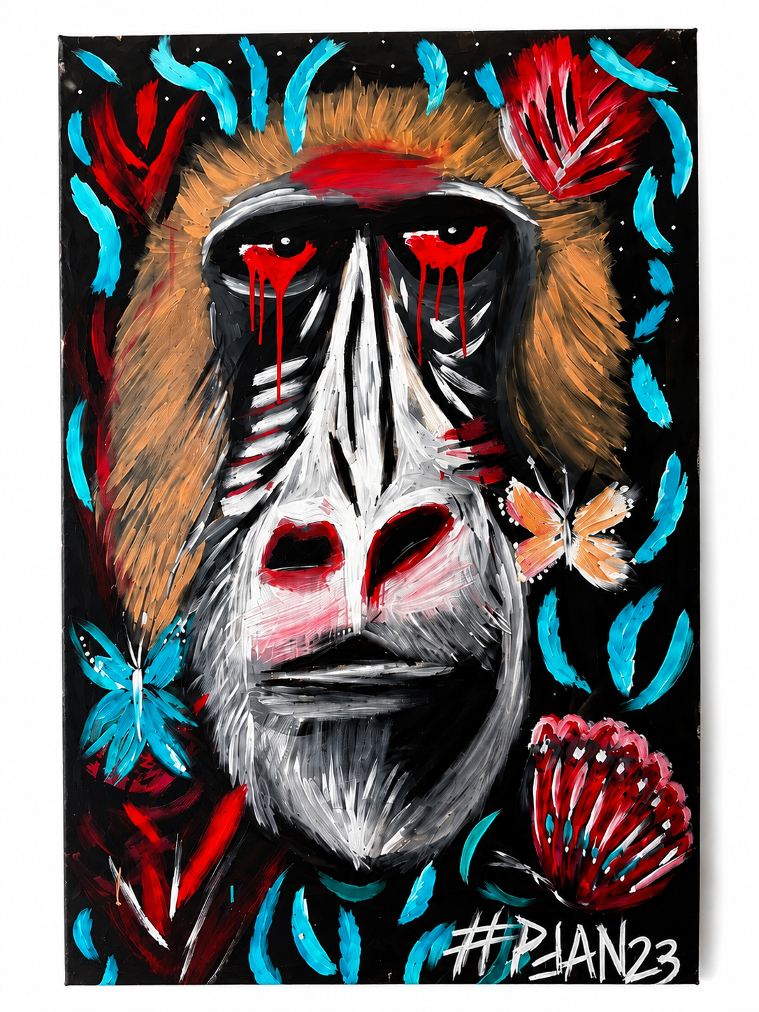BABOON SOUL